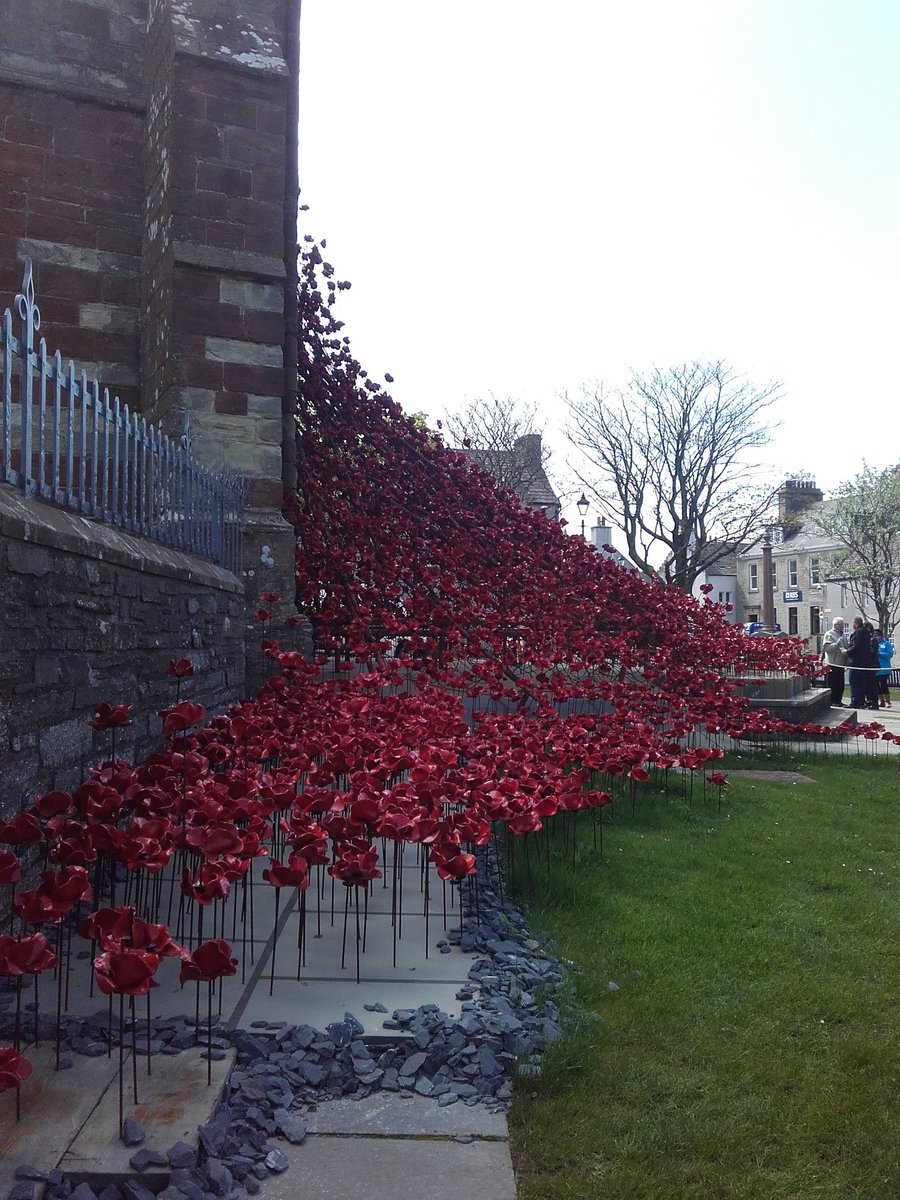 glynnegray's tweet photo. Poppies at @Saint_Magnus,#Jutland100 https://t.co/gWMzsIFRpG