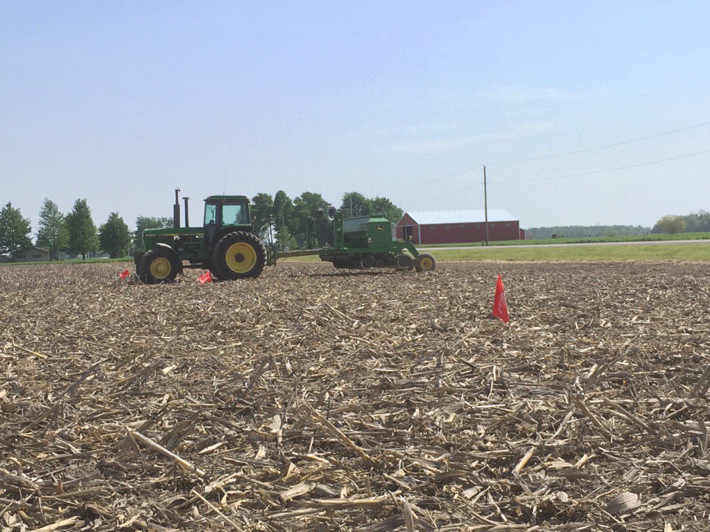 Trent_Brisby's tweet photo. @DuPontPioneer Planted the first #binbusting #non-gmo bean plot in Defiance, OH! #93Y41 is a beast! https://t.co/b6DhwX0uLQ