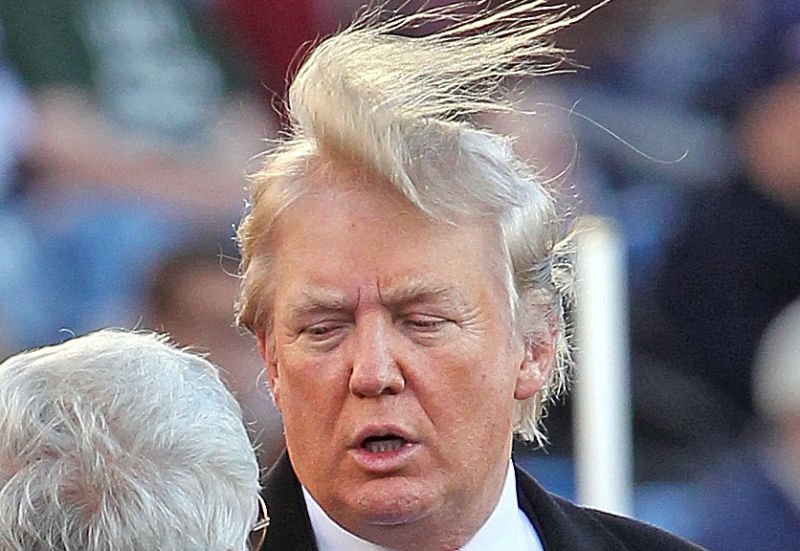 donald trump toupee twitter