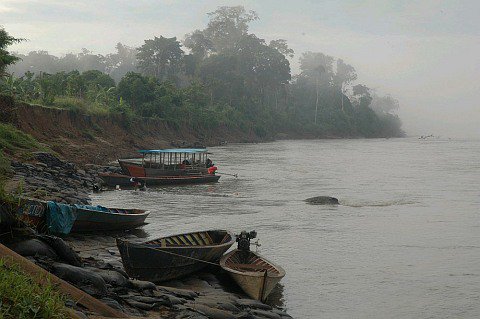 YaleE360's tweet image. Peru declares emergency in the Amazon due to widespread mercury pollution from gold mining bit.ly/1qHcuhb