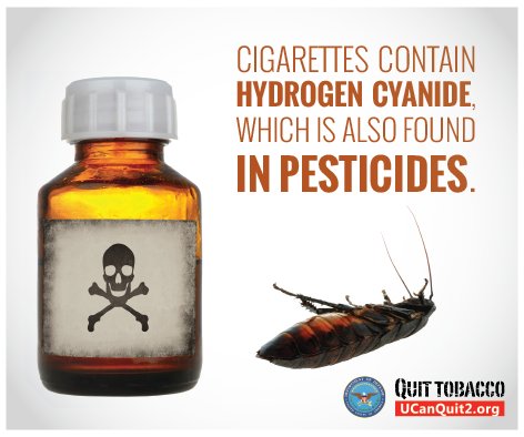 cyanide in tobacco What is inside a cigarette? Let's find out! @oneminmicro Bootleg marijuana vapes contain hydrogen