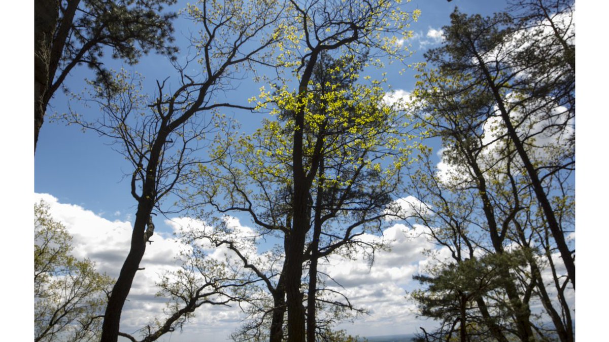 USofAJ's tweet photo. @uscellular #myanywhere https://t.co/2LFSbIl10x