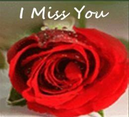 shalluinsan6's tweet photo. @Gurmeetramrahim 
#MSG2In250Days https://t.co/TuSYdDoAnF