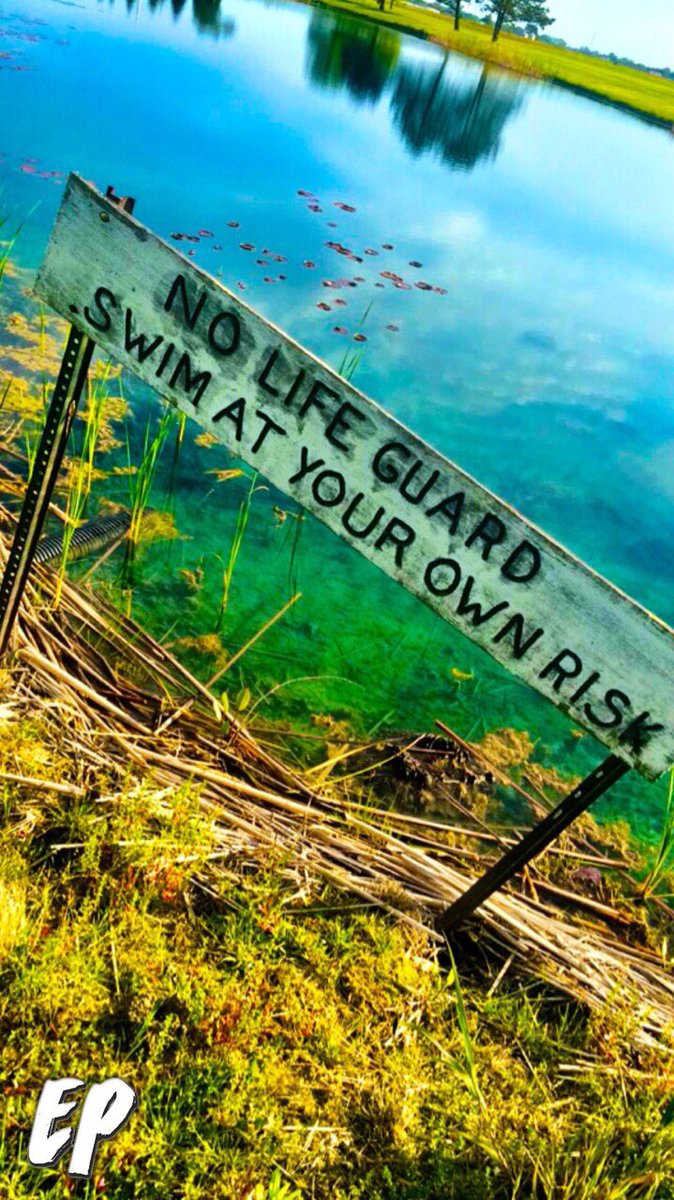 educatedpro's tweet photo. "Swim at your own risk." 🏊🏽 https://t.co/NbdFPB0QZo