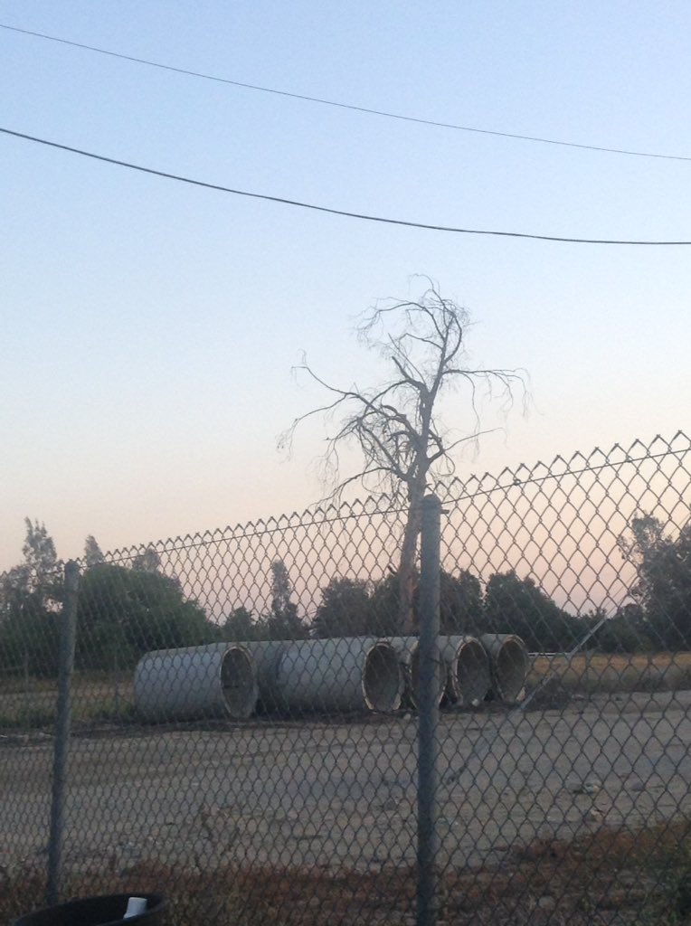 Forth (@forthmusic) on Twitter photo 