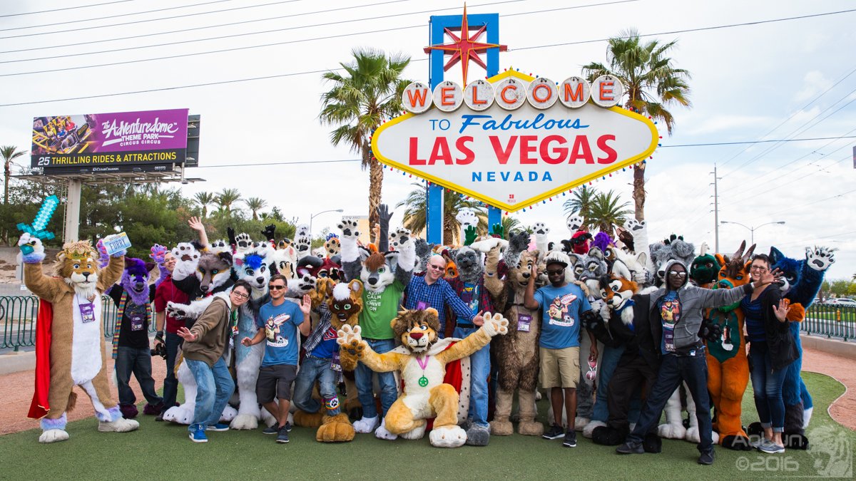 AoLun8's tweet photo. #ESG2016 photos are up! Repost, credit, and all that good stuff. @ElliottsEvents 
https://t.co/UVf6K7KYT3 https://t.co/7BVPCFRugo