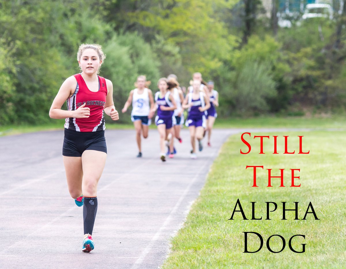 AE24_7sports's tweet photo. PHOTO GALLERY: Old Rochester girls win seventh consecutive SCC title; Bulldogs sweep Bourne

https://t.co/KnXOTyH1rY https://t.co/Av5SZluQYE