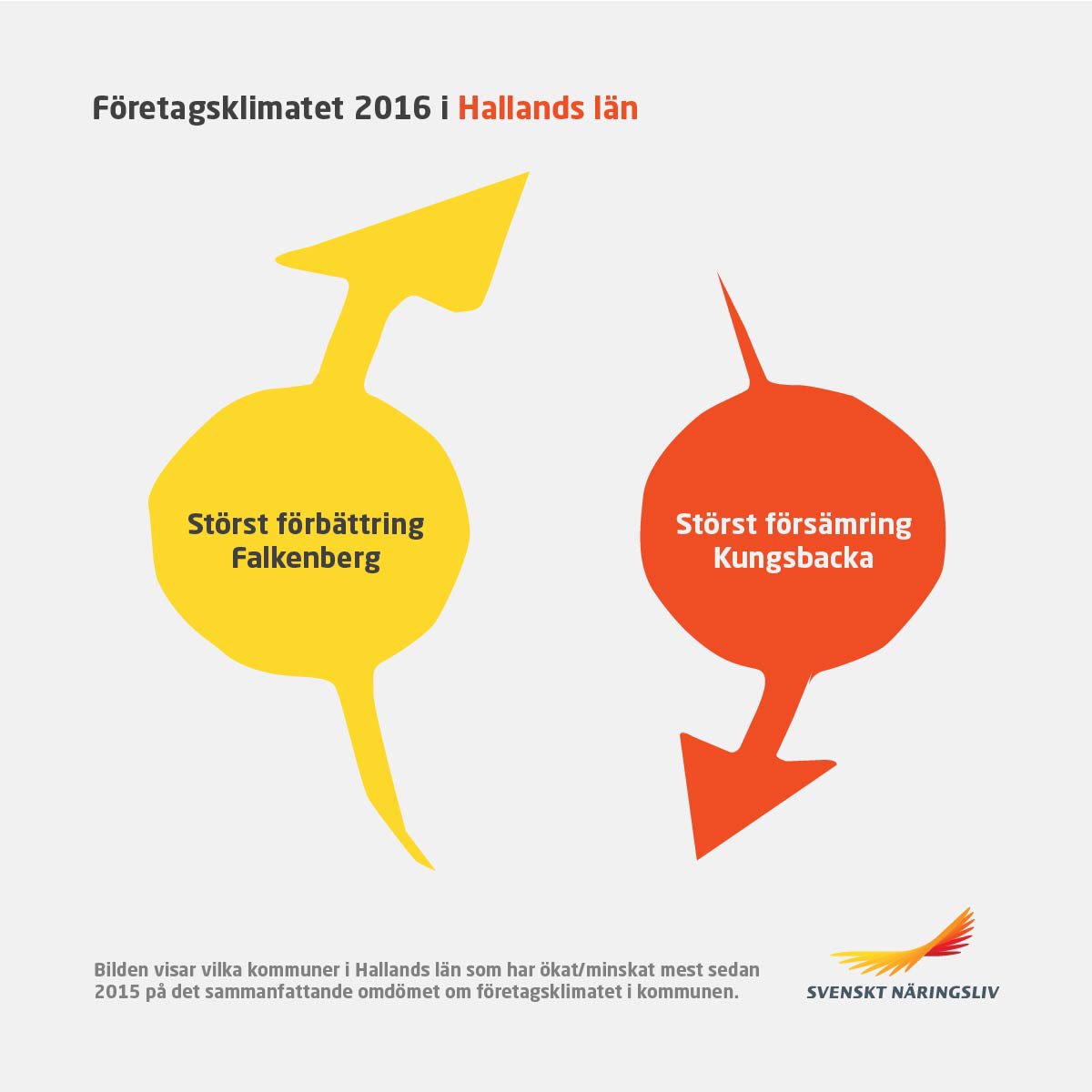 Charlotte Schéle tweet media