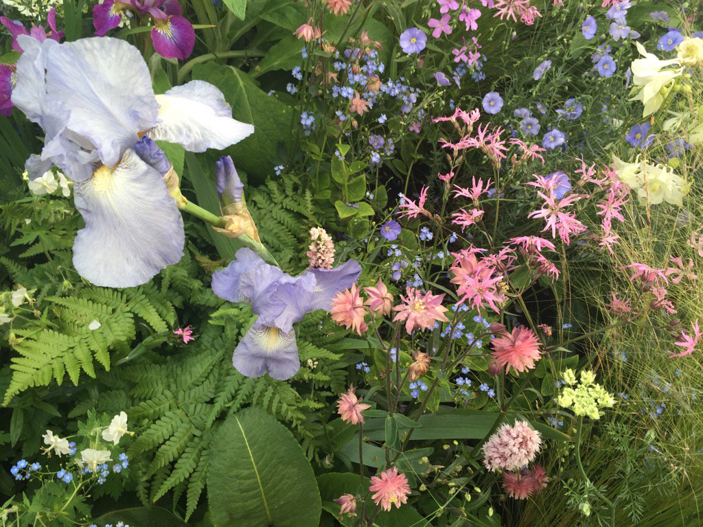 thefoxcottage's tweet image. One of my favourites, lipstick pinks and pastels in the LG Smart Garden #bbcmychelsea