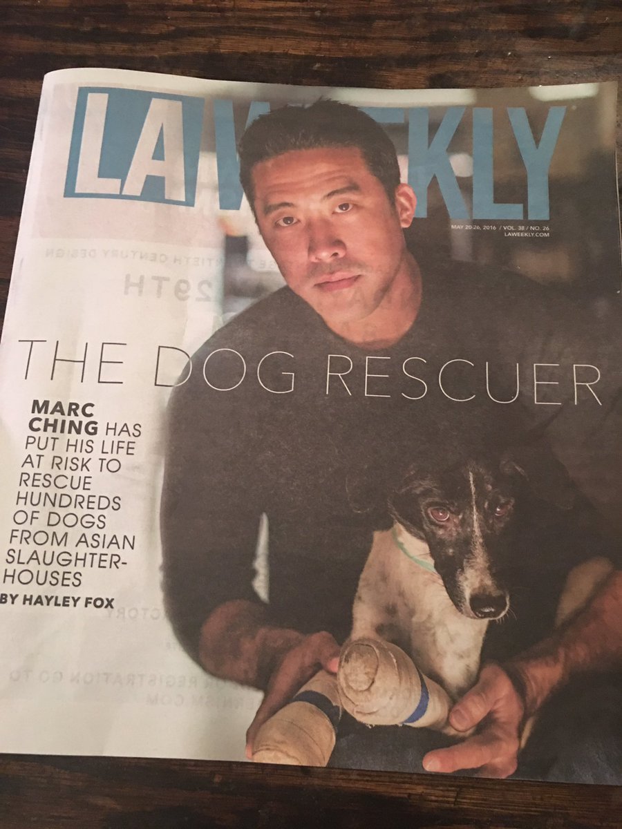 Katie_Blonde007's tweet image. #supportmarcching #marcching  #YulinGetDogsOffTheMenu #YulinDogMeatFestival #EndYulinFestival @Animalhope4all