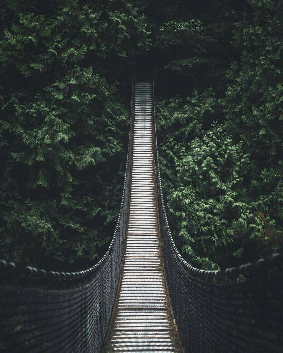 CodesPd's tweet image. جسر يطلق عليه جسر "النسيان" يقع في كندا على ساحل المحيط الهادئ، يعتقدون أن من يمشي عليه ينسى كل ما يؤلمه !