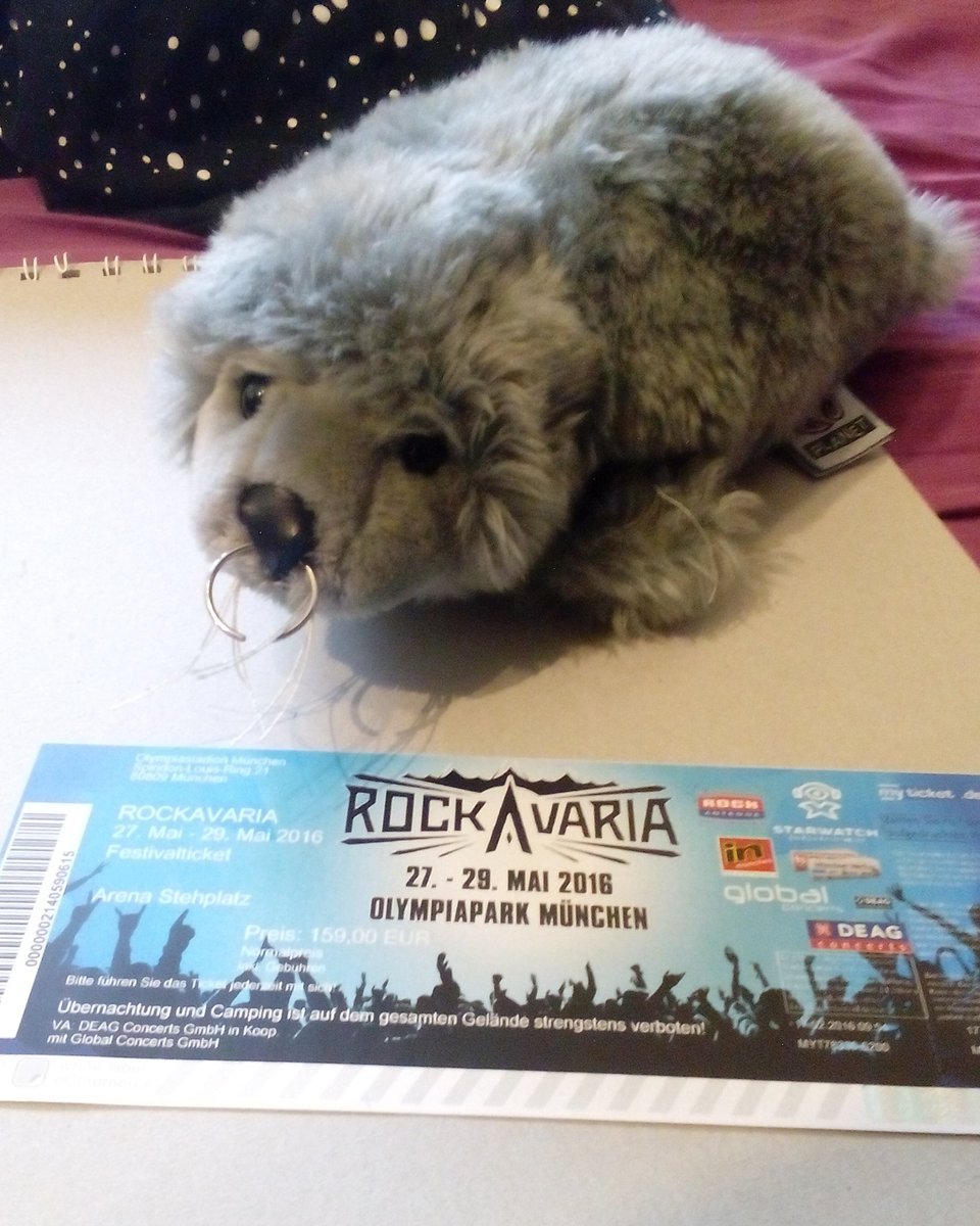 Robin_die_Robbe's tweet photo. Bald. @RockavariaMuc https://t.co/VpKRd2ZVNl