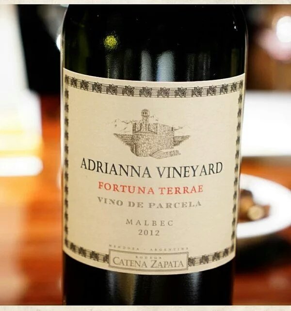 ARGysusvinos's tweet photo. De quien mas se puede esperar 100pts hoy en nuestro pais? Salú @alevigilmalbec sos grosso en serio...#AplaudanDePie https://t.co/31FJBxgWq1