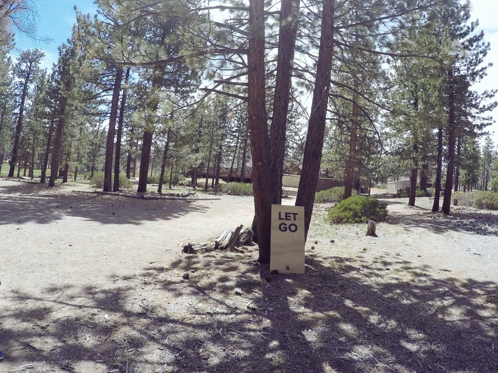 Thank you <a href="/theuniquecamp/">CAMP</a> for promoting  movement, creativity &amp; authentic connection. #theuniquecamp #digitaldetox