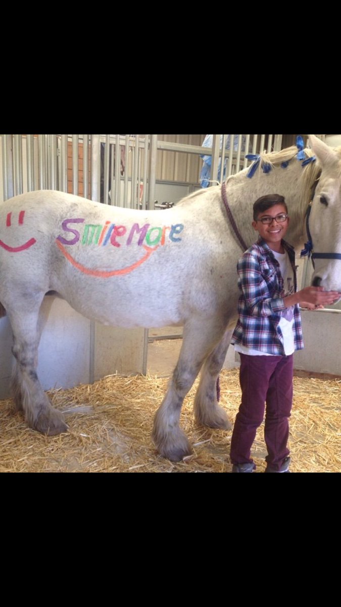 SmileMoreStore's tweet photo. Fan of the week winner!!! The horse of course 😄!!! Congrats @RoarGSmalls https://t.co/nqz9fFQfIX