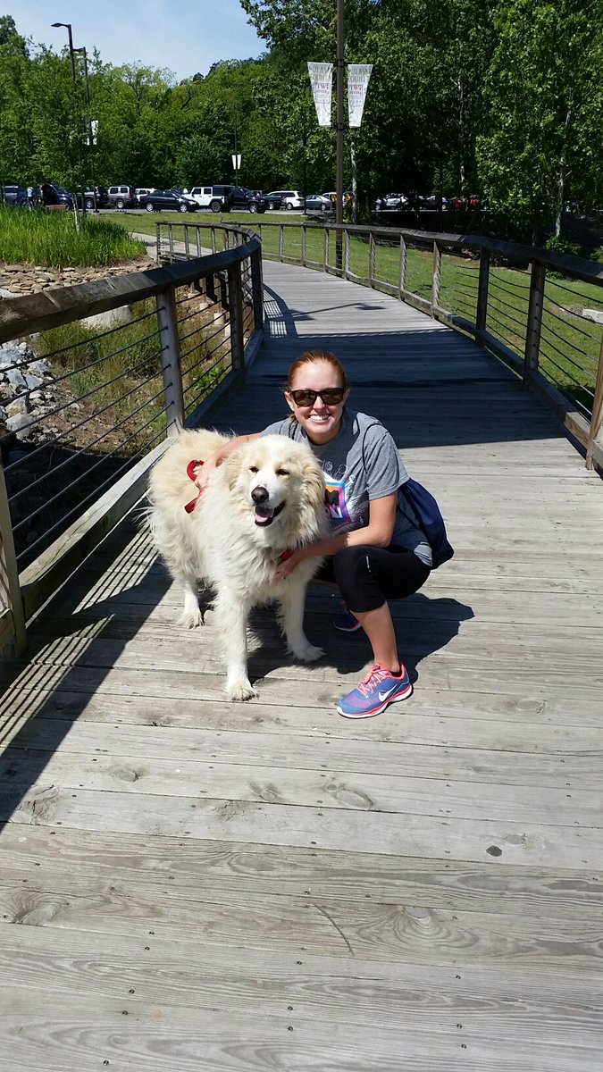 tara_jordan_r's tweet photo. #TwoRiversBridge with my #rescue Einstein! #dogsoftwitter #rescuedogs #greatpyrenees https://t.co/SpaIos0rdf