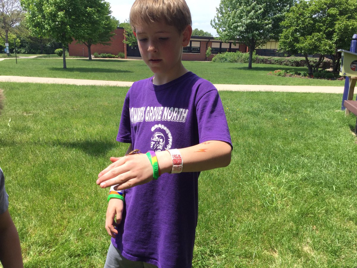 MrsZhp's tweet photo. Our annual release of the butterfly's! Kids loved watching/holding them! (Part 2) #dg58learns https://t.co/VywuiuvZc3
