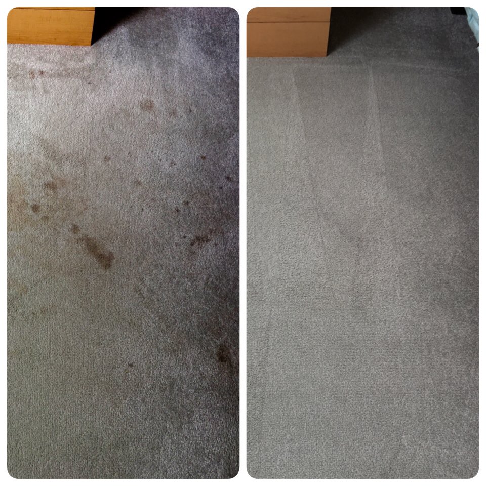 HendyClean's tweet photo. #endoftenacyclean #tenants #landlords #carpetcleaning https://t.co/FkC9HQ5YiO https://t.co/fw6CnFgY0d
