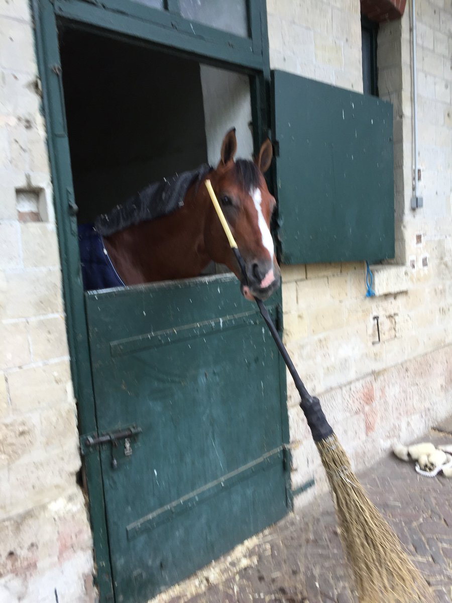 Royce has been getting a little bored between shows, so he's learning to help with cleaning up! #RoadtoRio