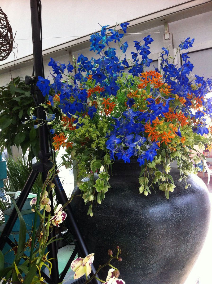 summerflowersNL's tweet photo. Summerflowers bloemen bij de #libellezomerweek https://t.co/Gn36i5IE2s