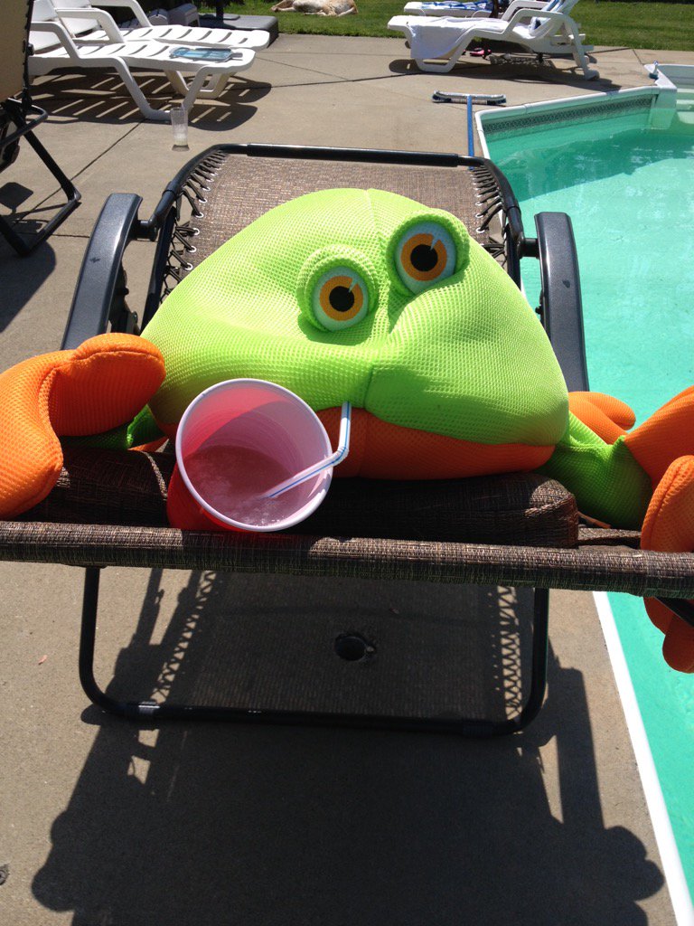 drzemiecki's tweet photo. #newdrinkingbuddy https://t.co/i5yFPoyN6f