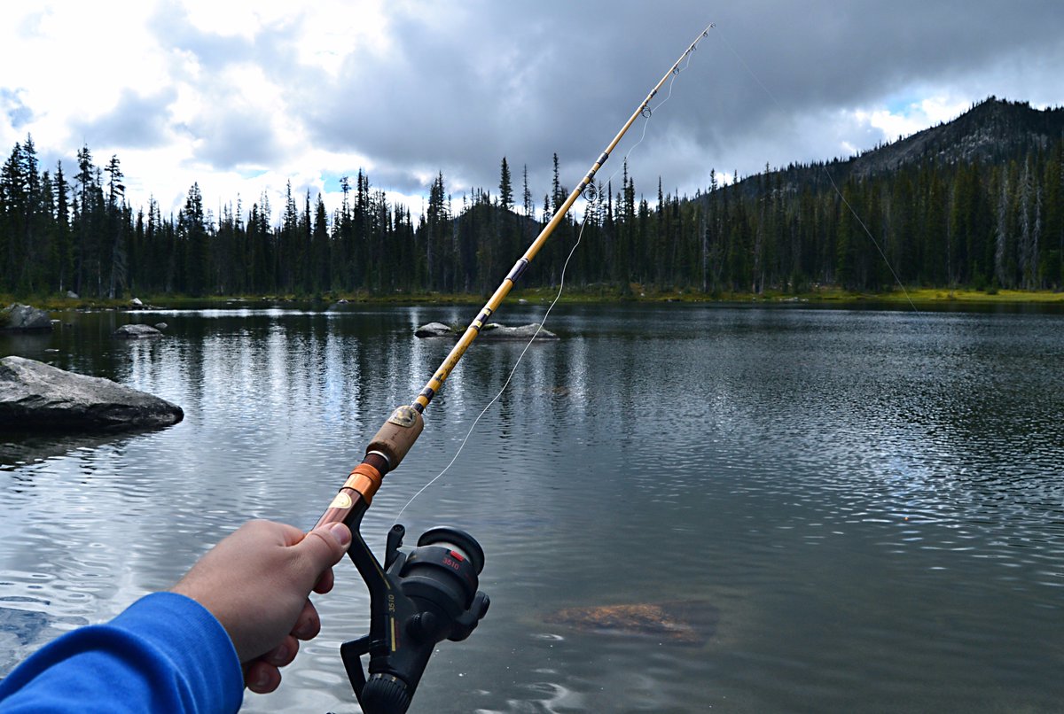 ctvanstone's tweet image. #MyAnywhere @USCellular (#tbtuesday)