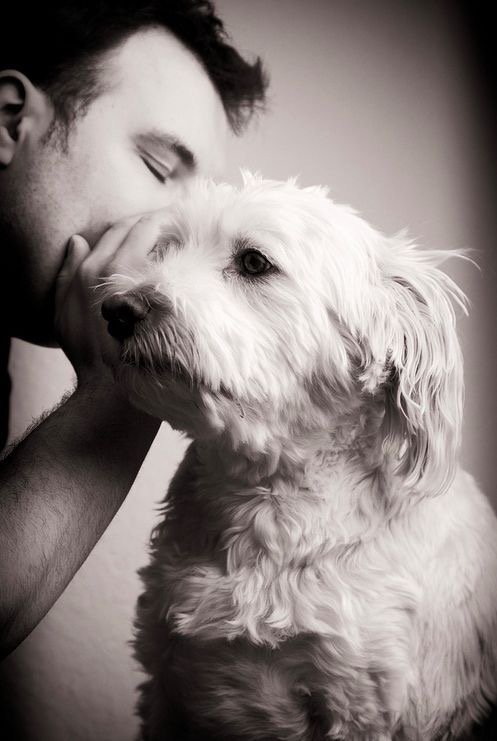 Mariang61340356's tweet photo. SEGRETI
#photography
#blackandwhite
#amicianimali
#amicifedeli
#segreti
#amicocane
#amicizia
#amore
#amico https://t.co/DGJ8tpa63l