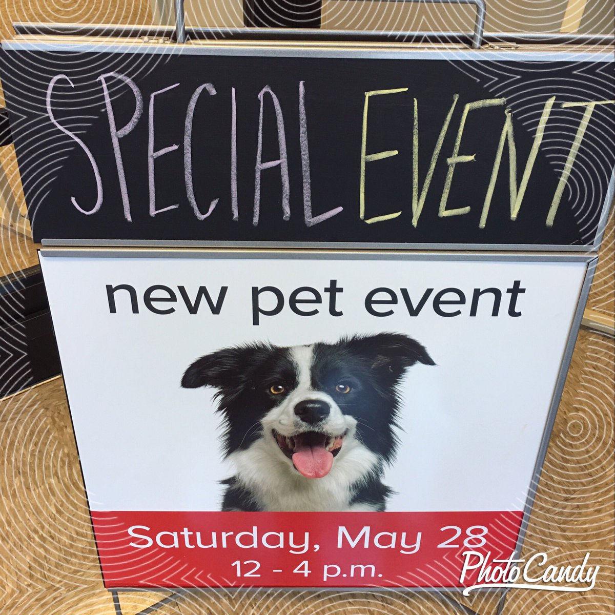 PetSmart1683's tweet photo. Visit us Sat for our New Pet Tips &amp; Tricks Event!  Experts on training grooming &amp; more! #petsmartevents #thevillages https://t.co/rM5nLITu76