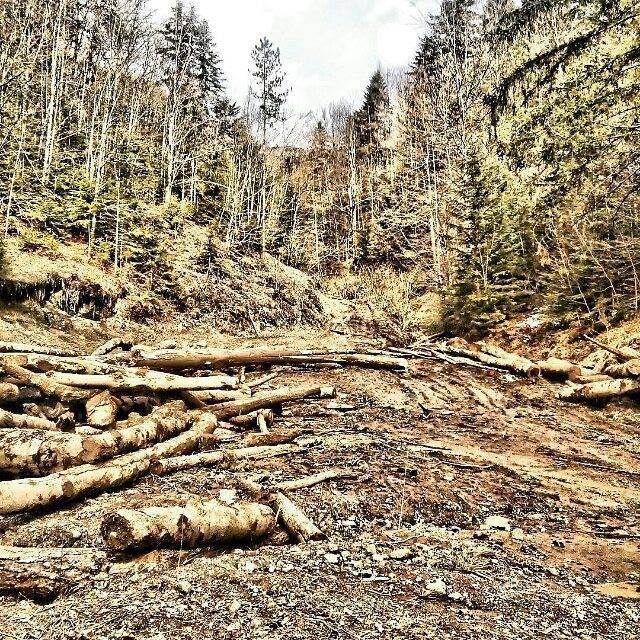 MojaSrpska's tweet image. Autor @z3ljko_ ・・・ #hdr #fx_hdr #ig_hdr #ig_teslic #ig_captures #igers_srpska #mojasrpska #SerbiaTravel #TravelRepu…