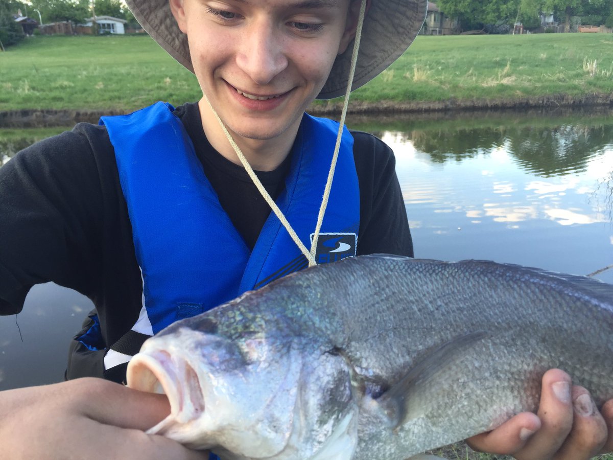 McIntyreAnglers's tweet photo. Remember that day we went fishing? You know, the day I caught that one eyed fish?? ๐ #strangecatch #winnipegsd https://t.co/TSryV3pMeu