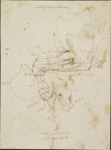 oshaNefa's tweet photo. I'm exploring the Leonardo app from @TouchPress https://t.co/OyWhtKCuZB https://t.co/YvPXex8psZ