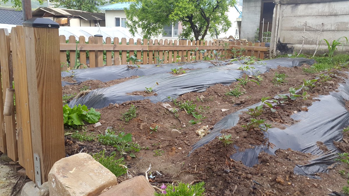 newjjun's tweet image. 잠시 쉬어가자~
넘어진김에^^~