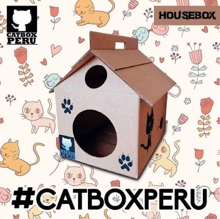 CatBoxPeru's tweet image. Listo para causar diversión, seguridad y confort #hacemosgatitosfelices #vivelaexperienciacatboxperu