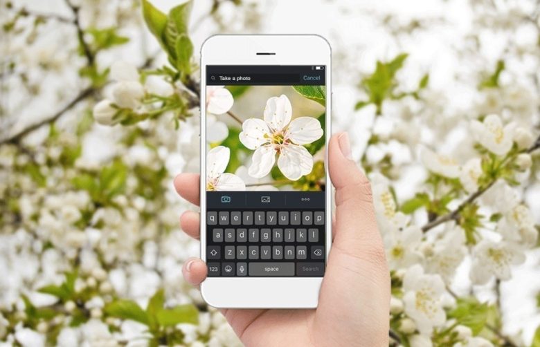 Shutterstock boosts machine-learning smarts with launch of reverse image search on iOS onvb.co/Kl3mgXI