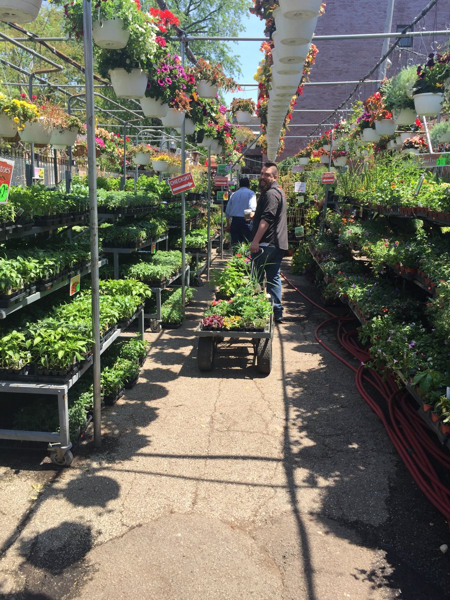 Perfect day for a patio makeover! Thanks to Adam and Sons for all the help 🌻🌿 #summer