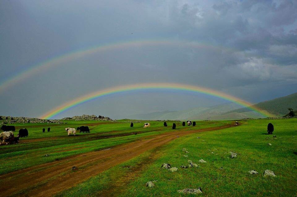 :Өглөөний мэндээ,энэ өдрийн ажил үйлсд нь өндөрөөс өндөр амжилт хүсье!🇲🇳🇲🇳🇲🇳🇲🇳🇲🇳🇲🇳🇲🇳🇲🇳🇲🇳🇲🇳🇲🇳🇲🇳