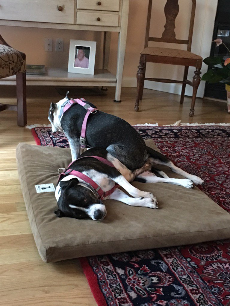 Let me take a load off!