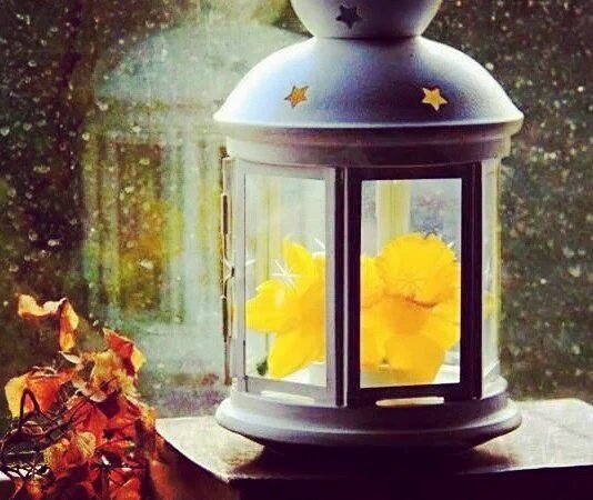 الحنيــن 
هـو ﺂنٰ ترى بَـِعض المحادثـات 
ثـم تبتسـم بعيـنيـن مدمعه🌸🍃