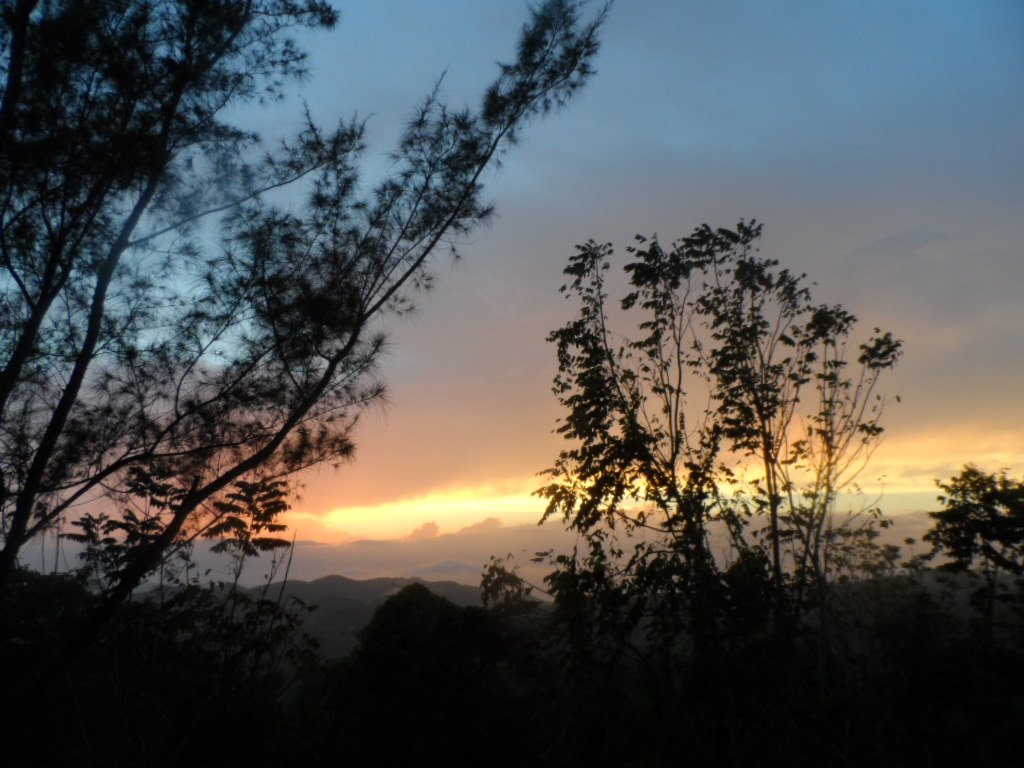 winmac100's tweet image. 