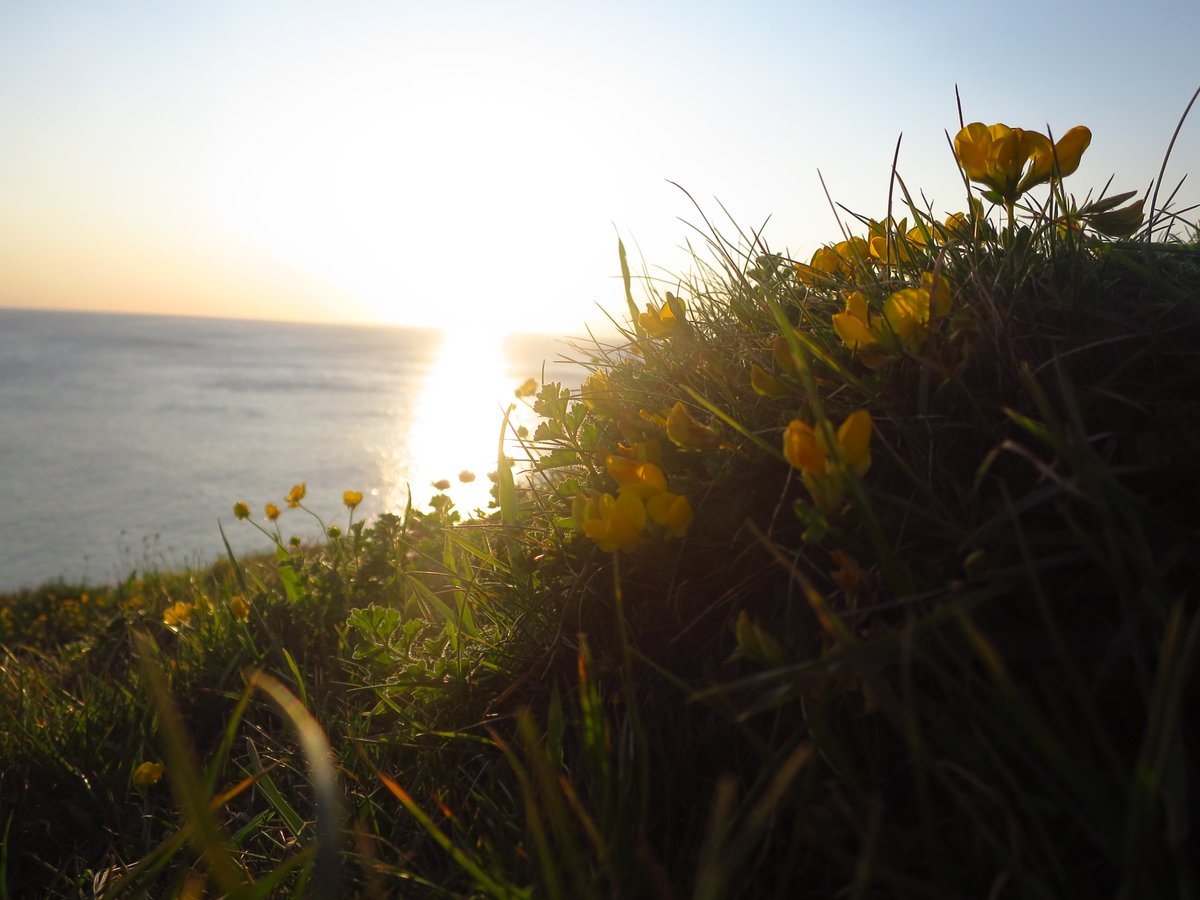 Jack_Hirst3's tweet image. Some photos from the sunset @PorthtowanBeach one of the most beautiful places I&apos;ve seen! #exploringcornwall