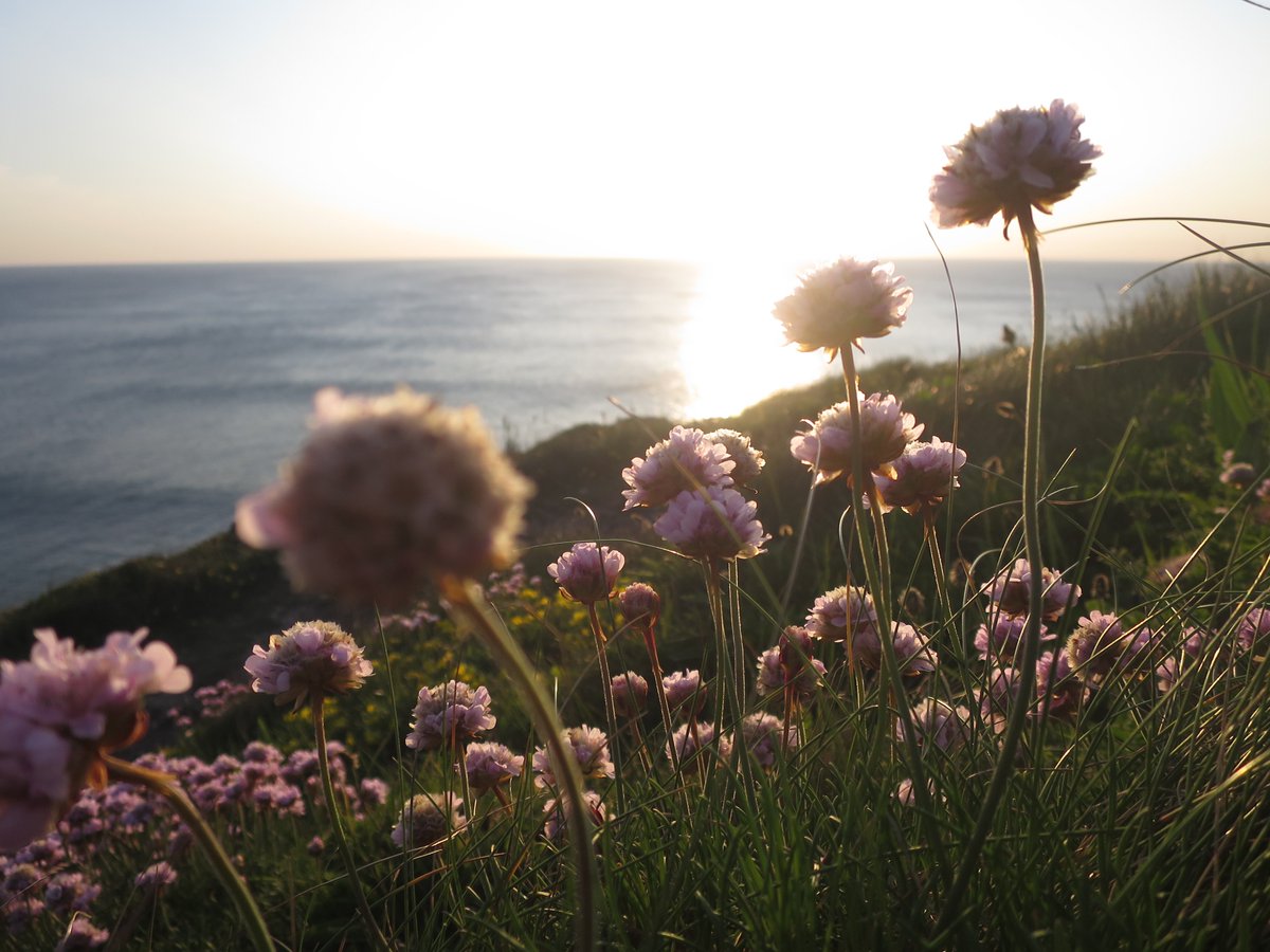 Jack_Hirst3's tweet image. Some photos from the sunset @PorthtowanBeach one of the most beautiful places I&apos;ve seen! #exploringcornwall