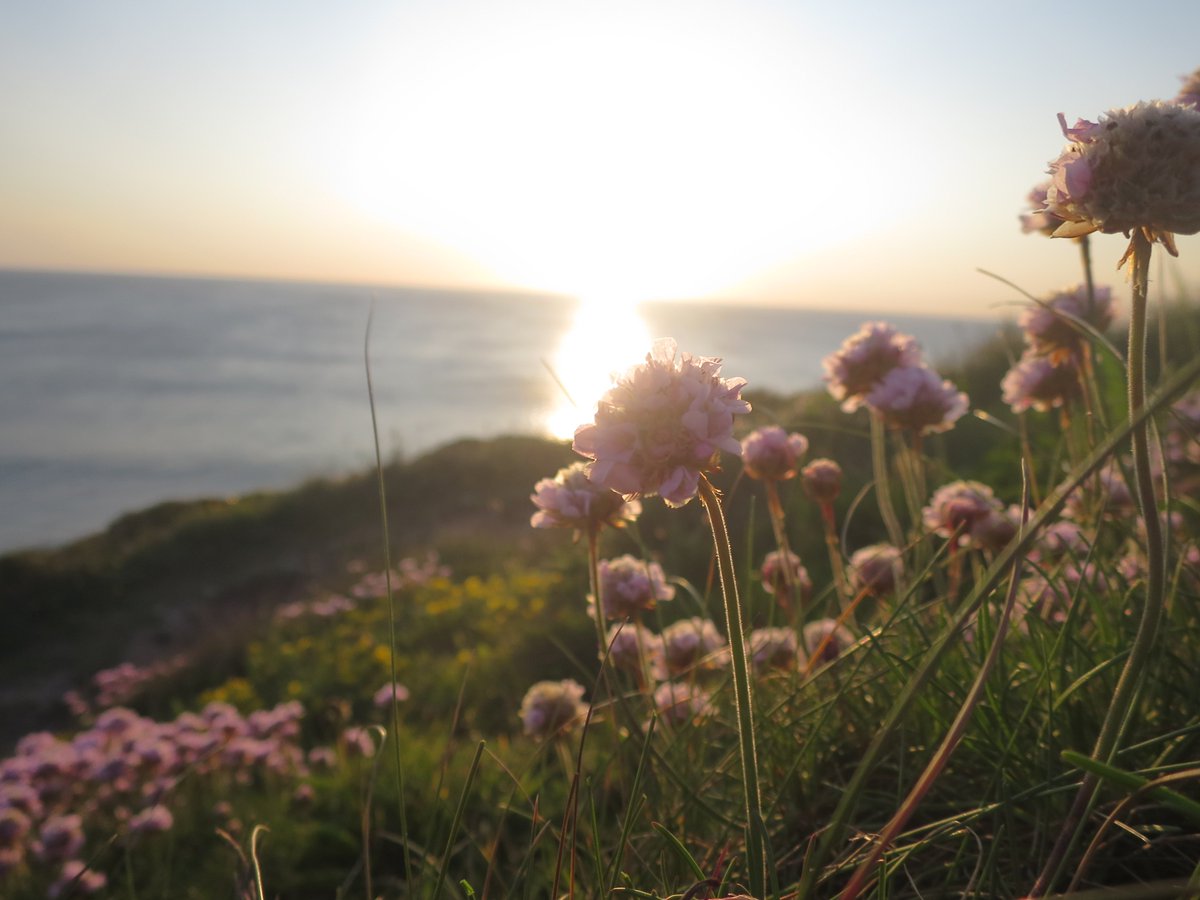 Jack_Hirst3's tweet image. Some more photos of @PorthtowanBeach - need to go surfing here! #exploringcornwall