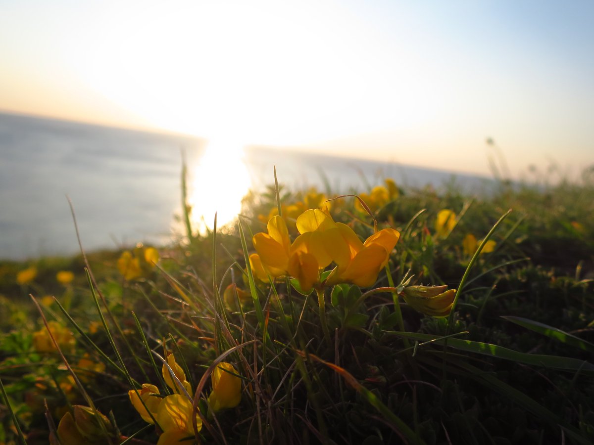 Jack_Hirst3's tweet image. Some more photos of @PorthtowanBeach - need to go surfing here! #exploringcornwall