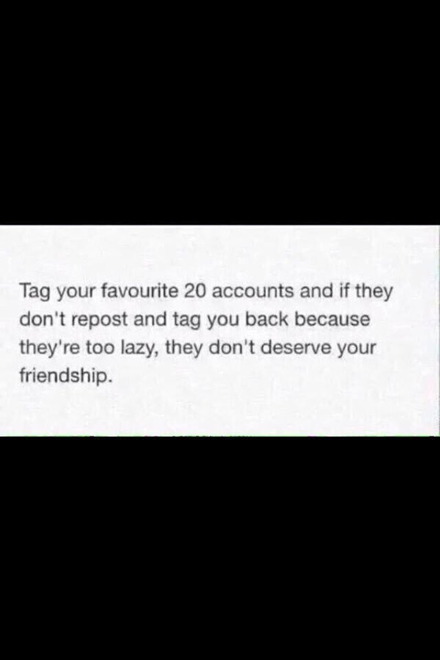 Fox Alistair (@cfvyfoxalistair) on Twitter photo 