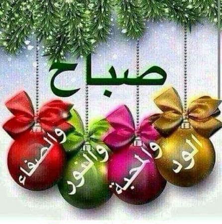 صباح الورد على احله ناس
#جمعه_خير_لتبادل #قروب_عاشق_للتبادل