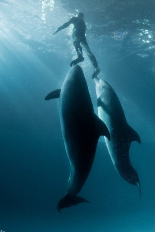 "A person who has conquered the fear of failure can achieve everything in life..."