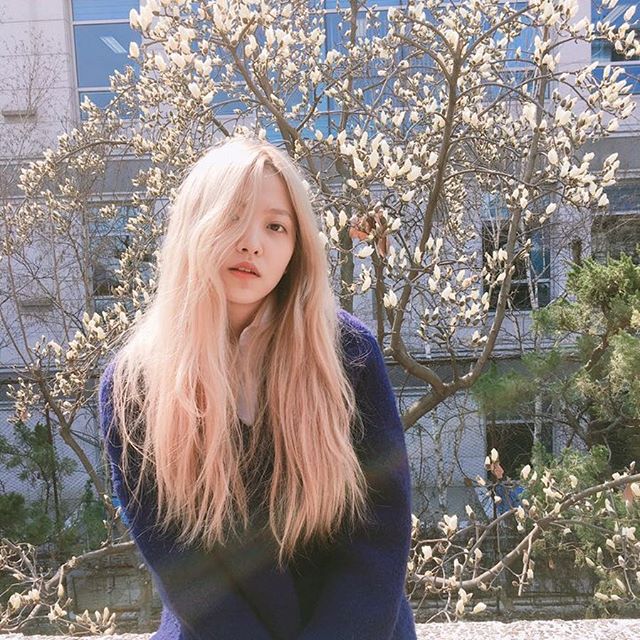 yeri_1015 tweet picture