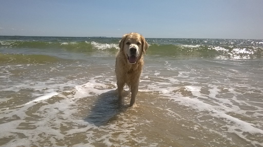 Same Sea, Different Day #SSDD