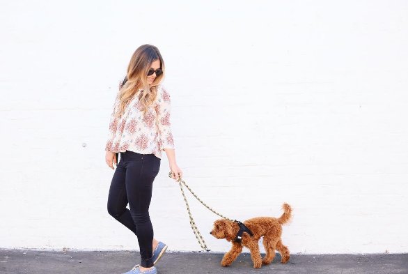trendly's tweet photo. It's a lovely day for a stroll. Moment made with @sperrytopsider ~ #beTrendly https://t.co/Pnu20Htqmb