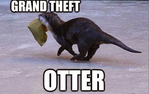 OtterEscapades's tweet photo. What's the worst crime in the ocean? https://t.co/JnLRYq1eRR